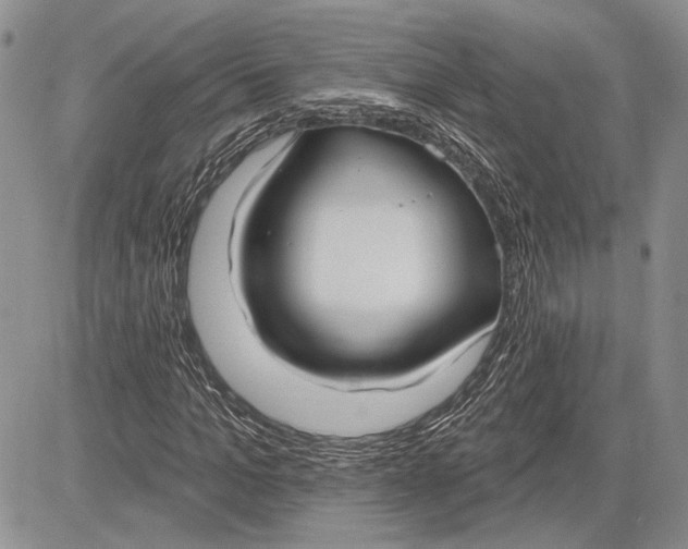 X0000081580965200702051235