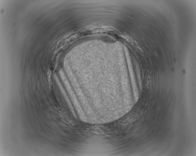 X0000081580966200702051235