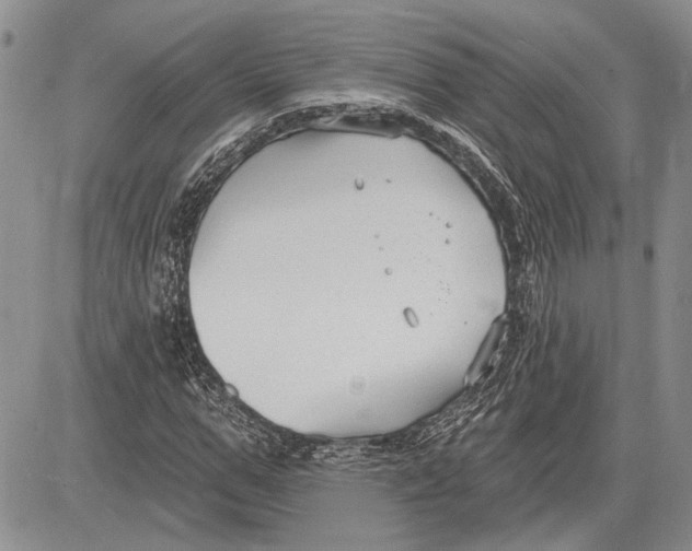 X0000081580967200702051235