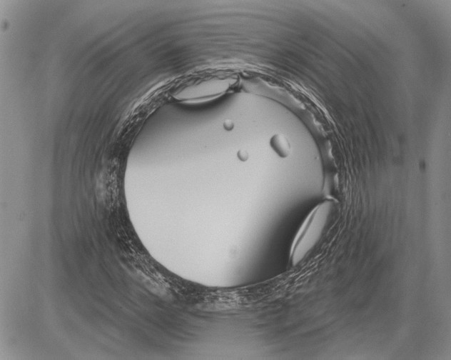 X0000081580968200702051235