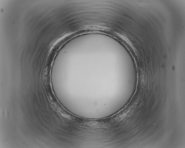 X0000081580971200702051235