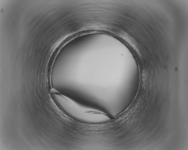 X0000081580972200702051235