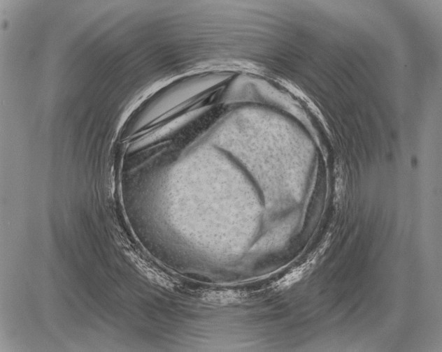 X0000081580973200702051235