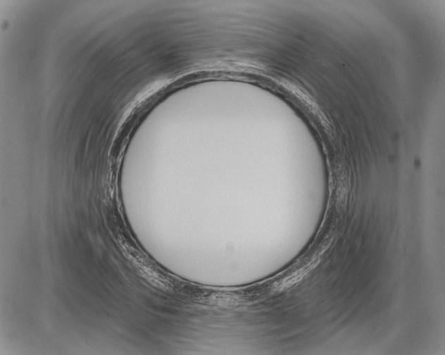 X0000081580974200702051235