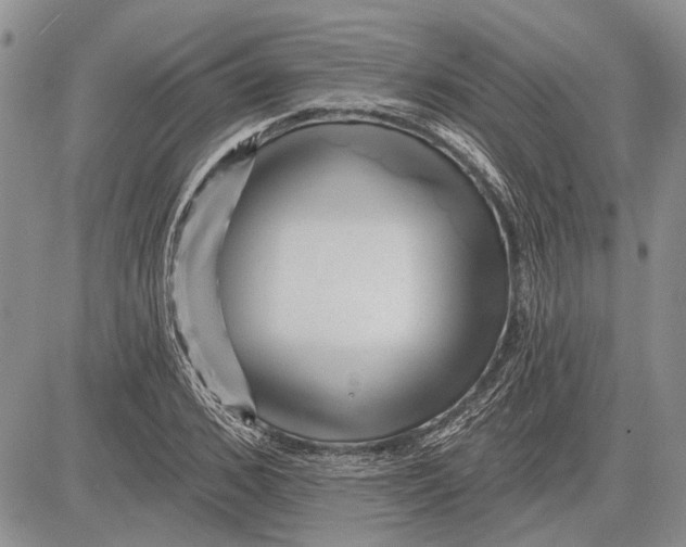 X0000081580976200702051235