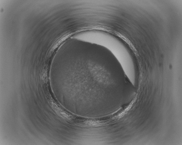 X0000081580977200702051235