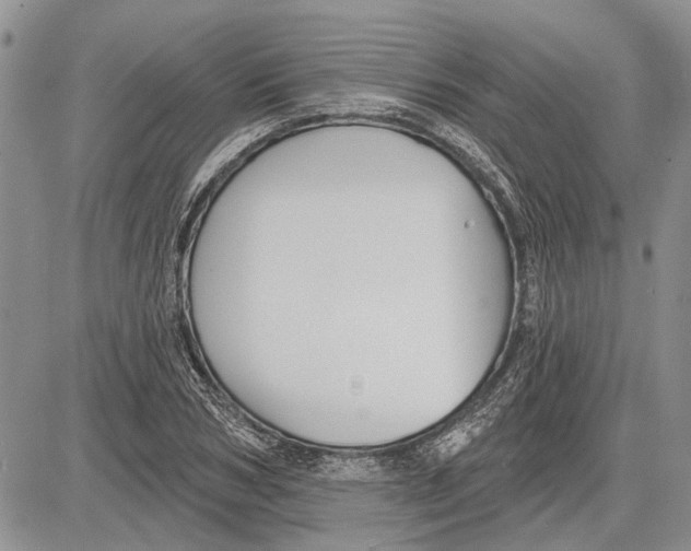 X0000081580978200702051235