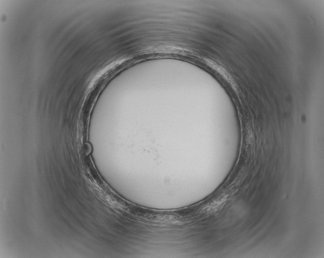 X0000081580979200702051235