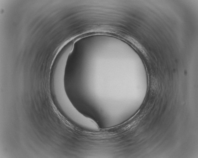 X0000081580980200702051235