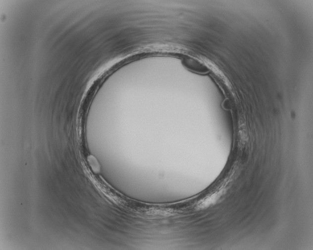 X0000081580981200702051235