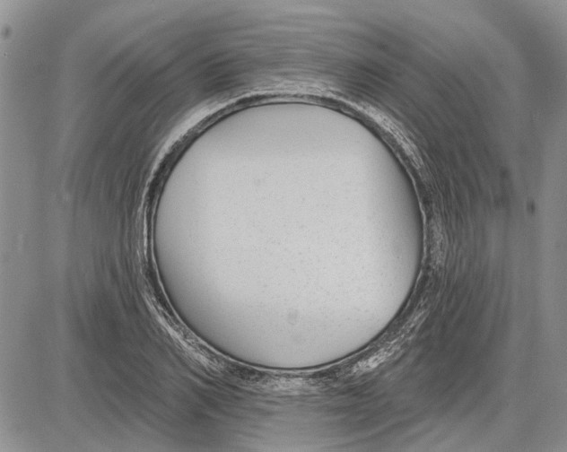 X0000081580982200702051235