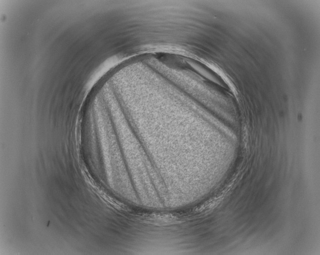 X0000081580983200702051235