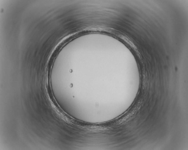 X0000081580984200702051235