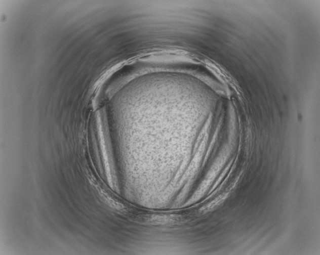 X0000081580985200702051235