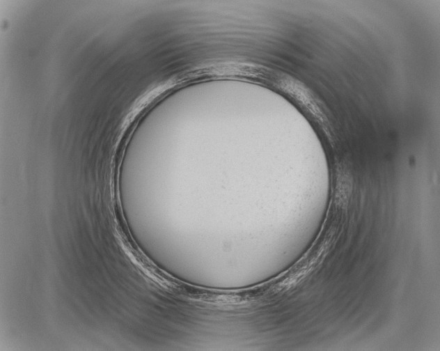 X0000081580986200702051235