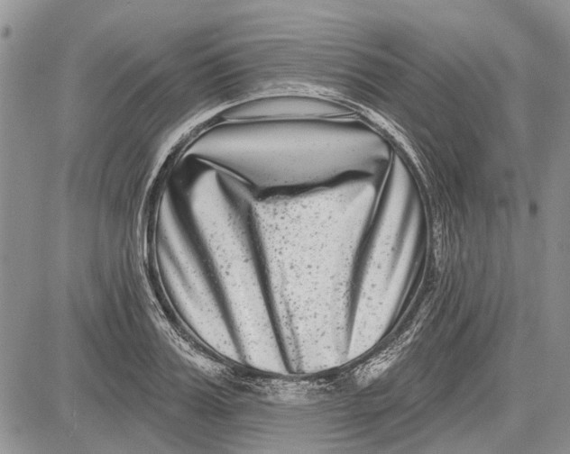 X0000081580987200702051235