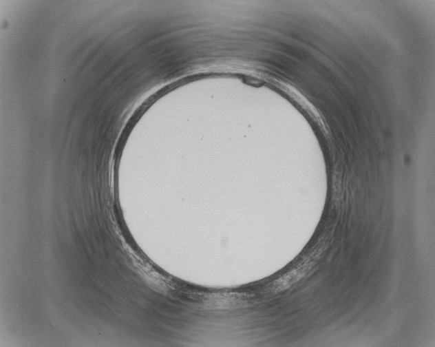 X0000081580988200702051235