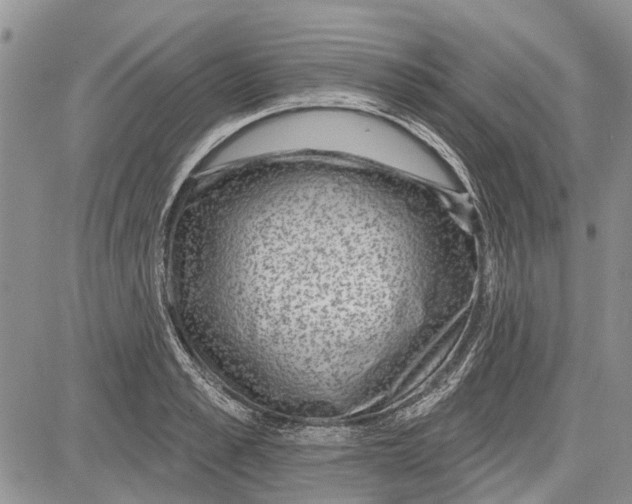 X0000081580989200702051235