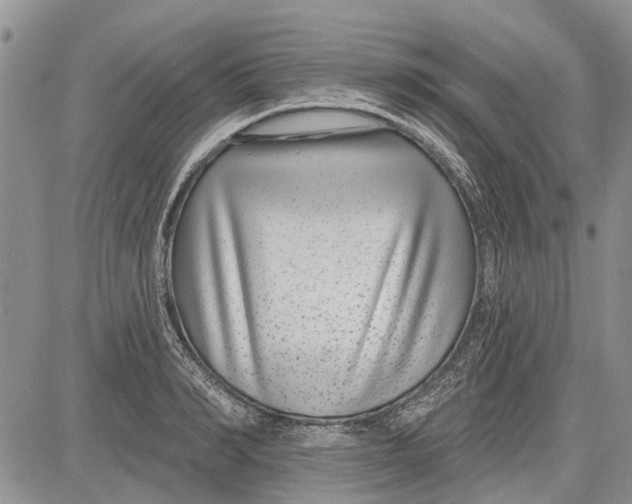 X0000081580990200702051235