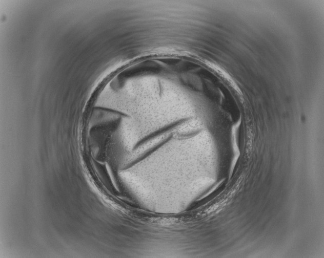 X0000081580991200702051235