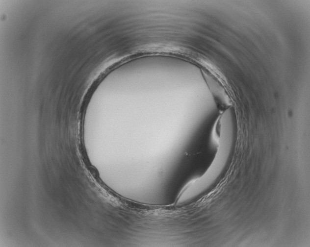 X0000081580992200702051235