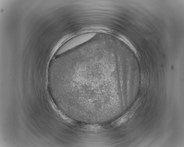 X0000081580994200702051235