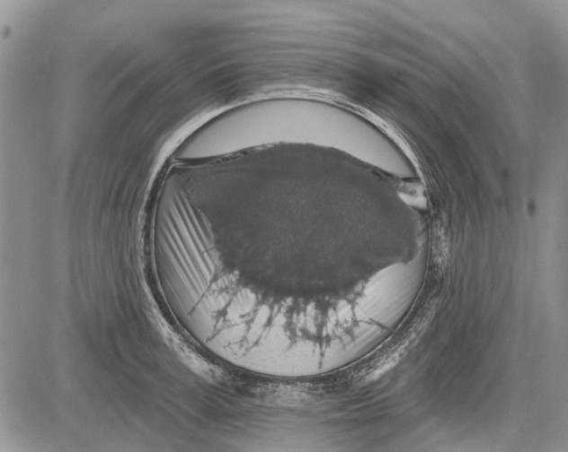 X0000081580995200702051235