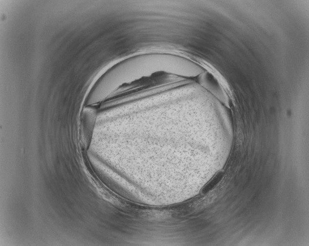 X0000081580996200702051234