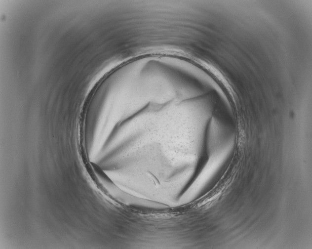 X0000081580999200702051234