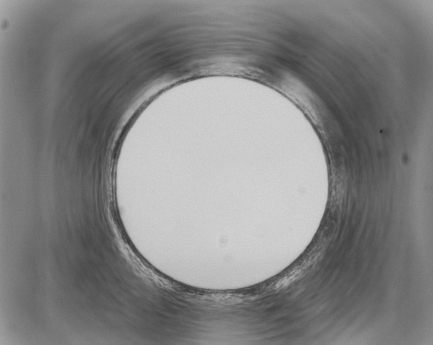 X0000081581000200702051234