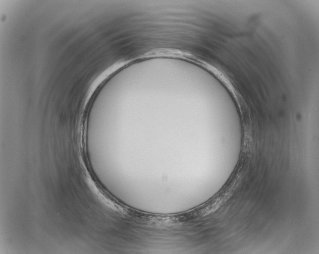 X0000081581003200702051234