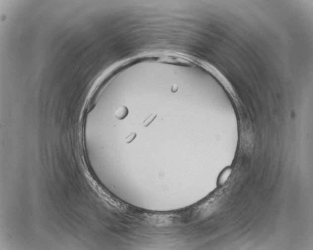 X0000081581004200702051234