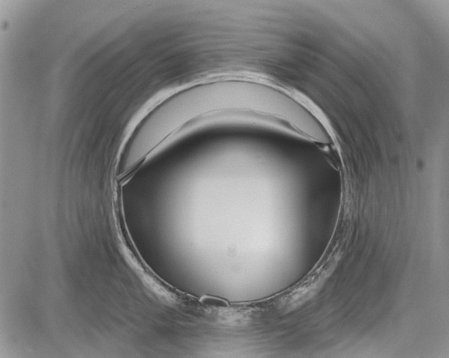 X0000081581005200702051234