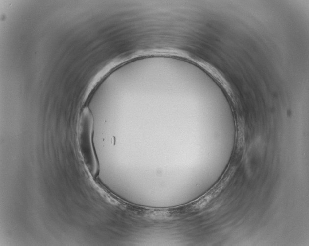 X0000081581006200702051234