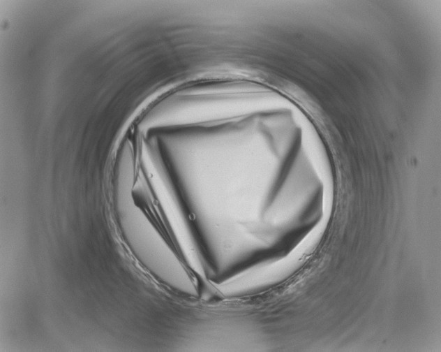 X0000081581008200702051234