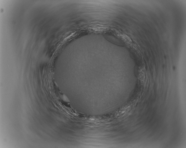 X0000081581009200702051234