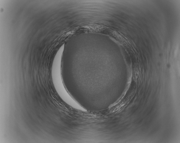 X0000081581010200702051234