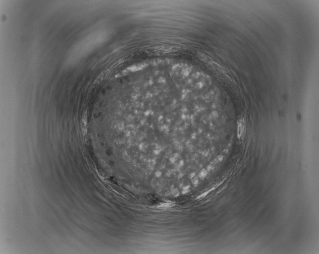 X0000081581011200702051234