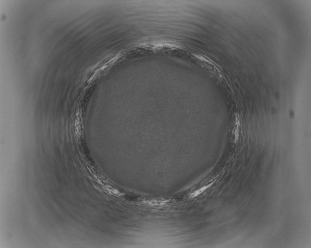 X0000081581014200702051234