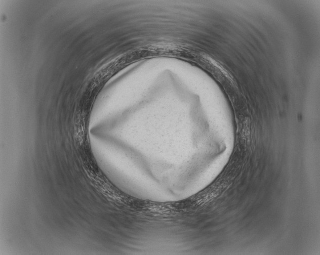 X0000081581015200702051234