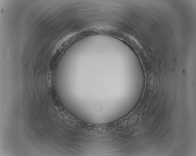 X0000081581016200702051234