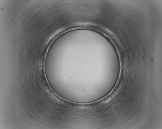 X0000081581017200702051234