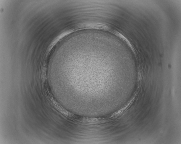 X0000081581019200702051234