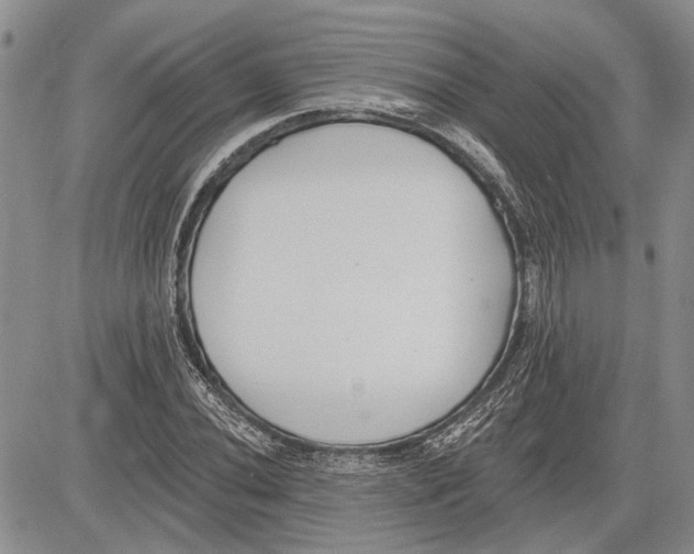 X0000081581020200702051234