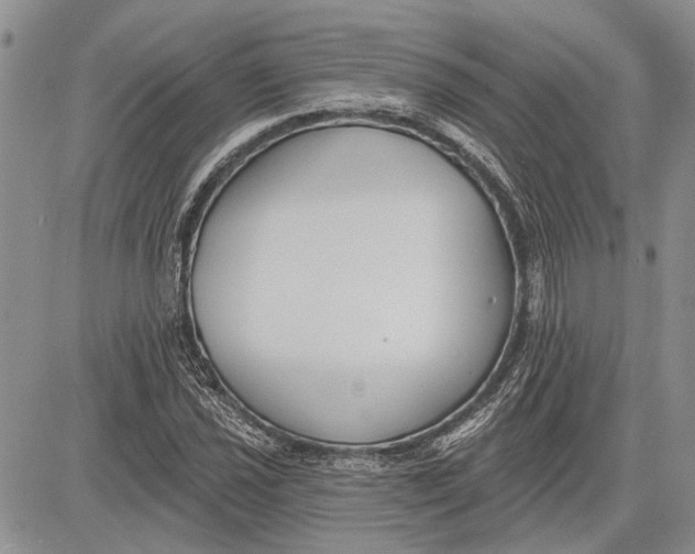 X0000081581021200702051234