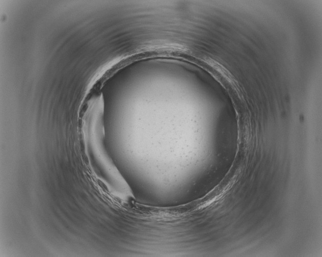 X0000081581022200702051234