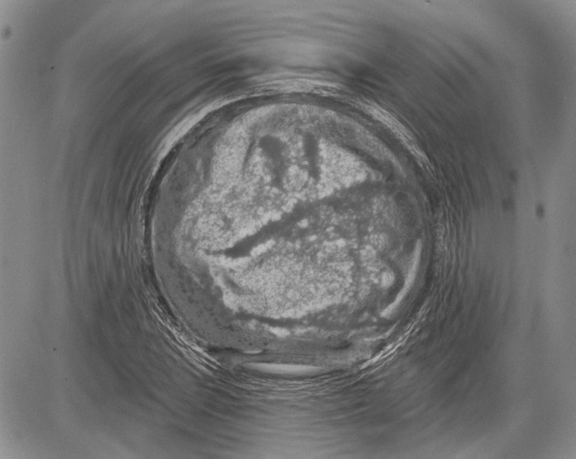 X0000081581023200702051234