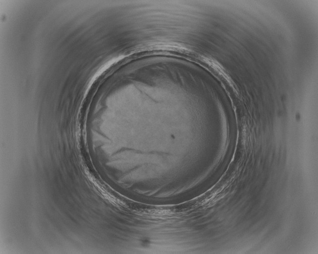 X0000081581024200702051234