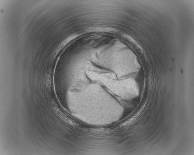 X0000081581025200702051234