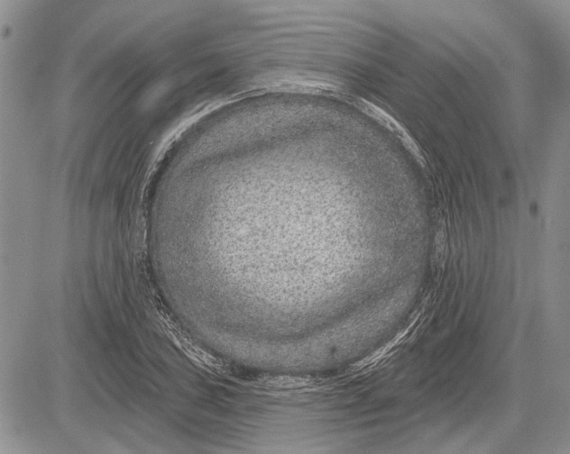 X0000081581027200702051234